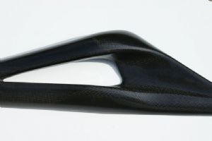 Carbon Fibre Swing Arm Protector